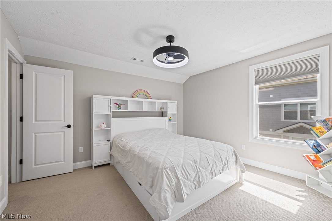 233 Lake Balaton Drive Orange OH 44128