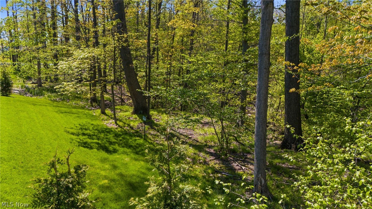 233 Lake Balaton Drive Orange OH 44128