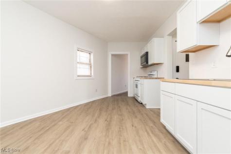 3905 Woodbine Cleveland OH 44113