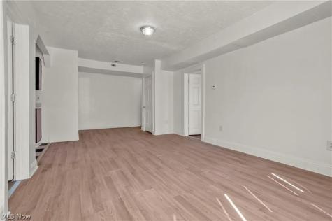317 E 156th Street Cleveland OH 44110