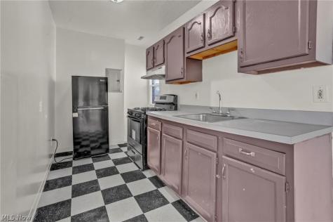 317 E 156th Street Cleveland OH 44110