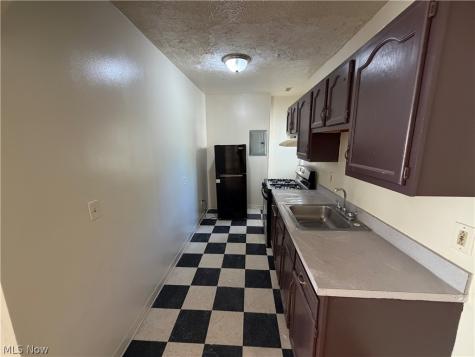 317 E 156th Street Cleveland OH 44110