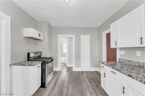 3904 W 18th Street Cleveland OH 44109