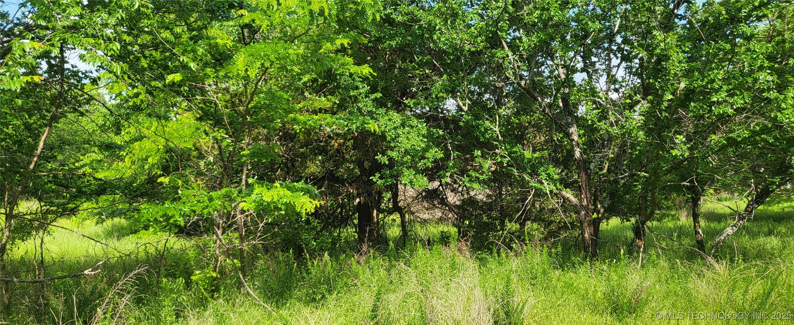 Oak Mcalester OK 74501