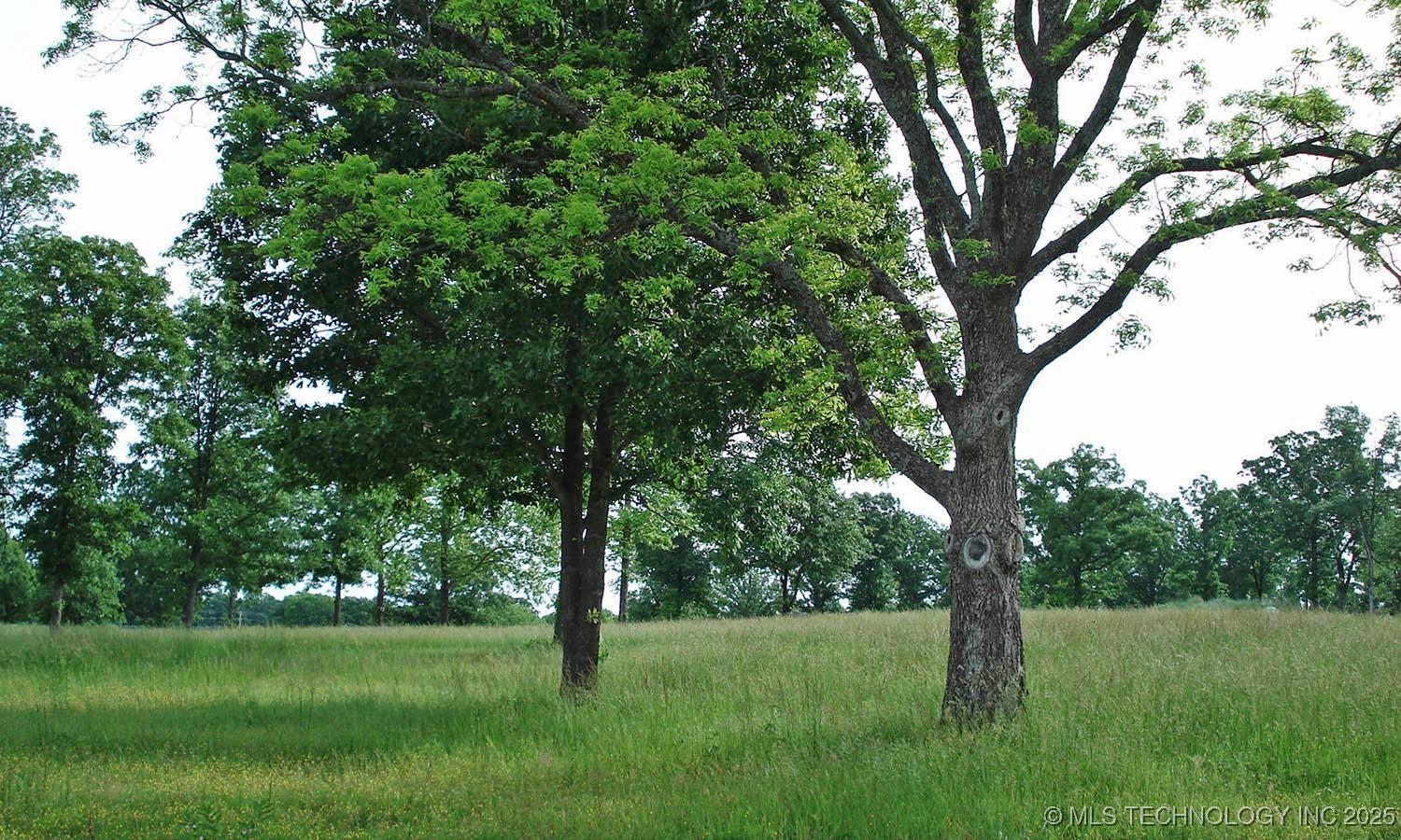 856 Grayton Place Tahlequah OK 74464