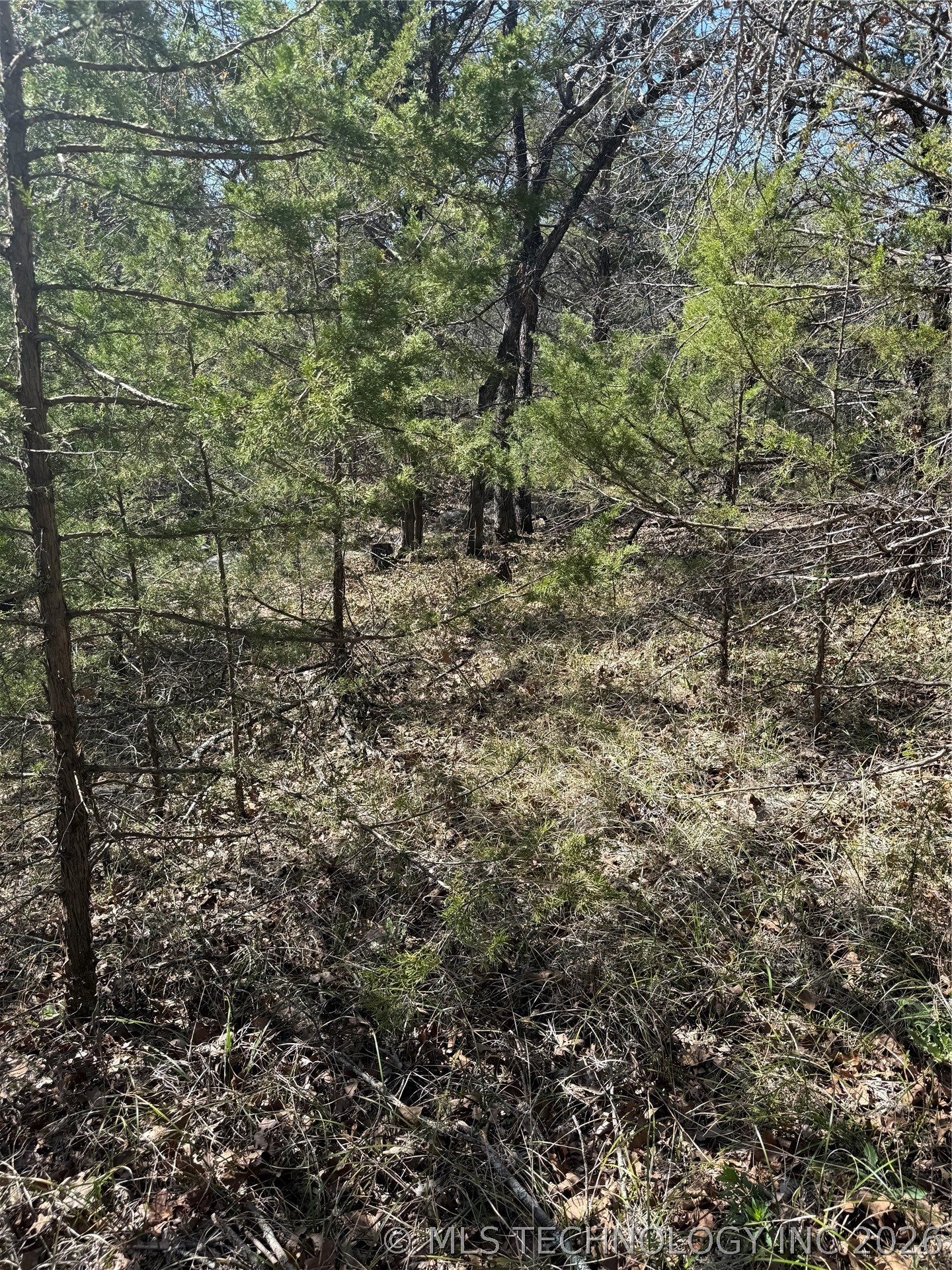 Turtle Creek Marietta OK 73459