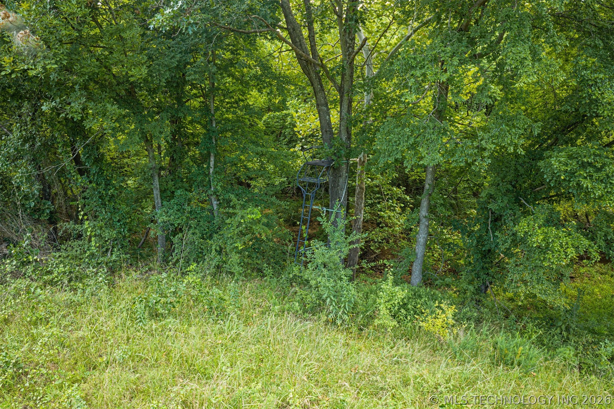 67 S 4320 Road Big Cabin OK 74332
