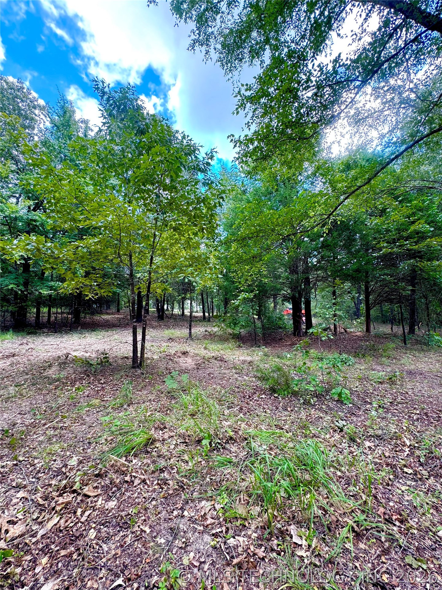 11161 S Centerpoint Atoka OK 74525