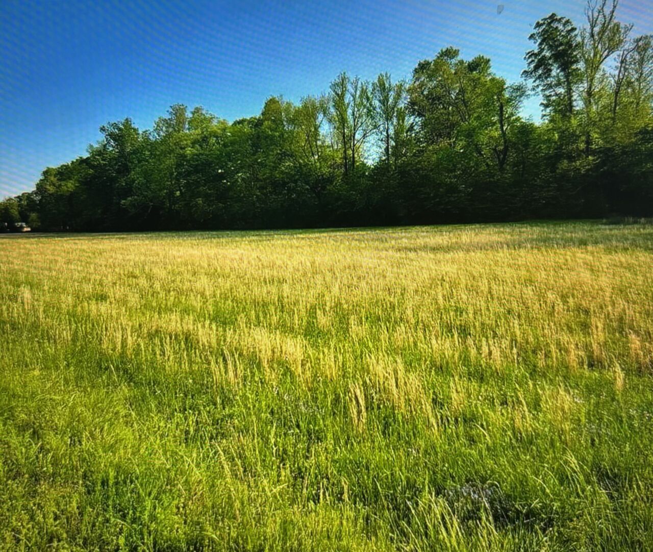 Eagle Road Smithville OK 74957