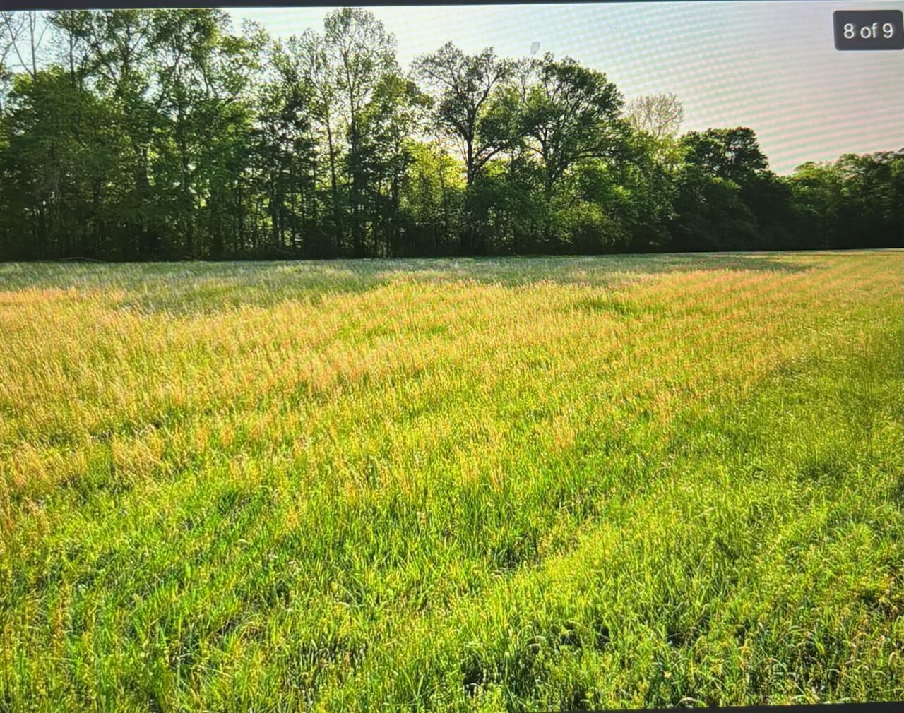Eagle Road Smithville OK 74957