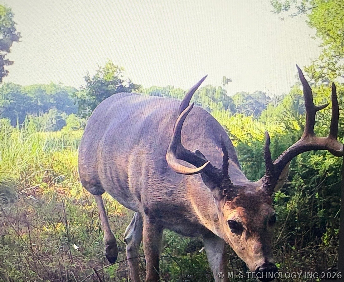 6456 Watson Road Sulphur OK 73086