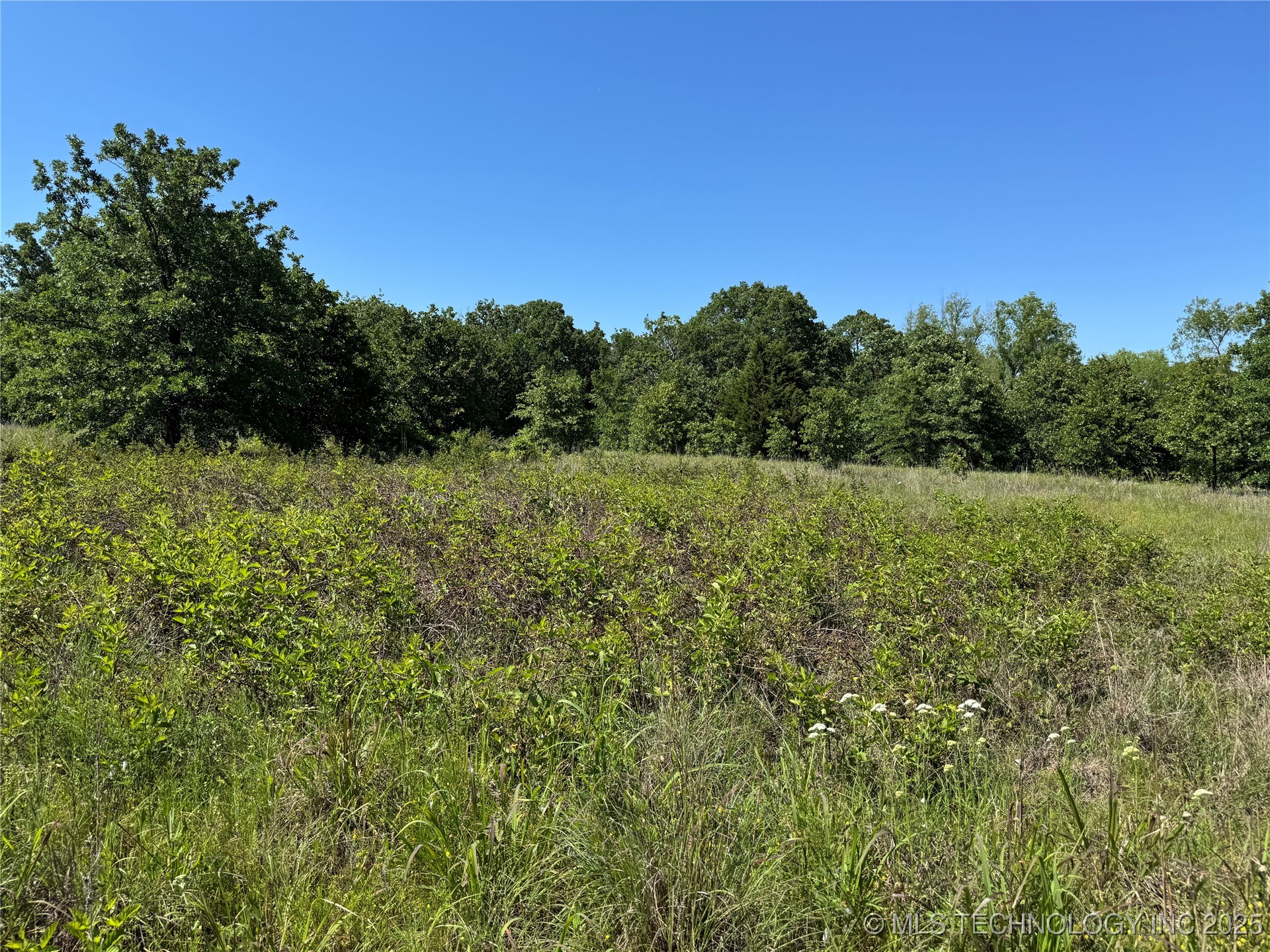 2668 Buck Horn Road Healdton OK 73438