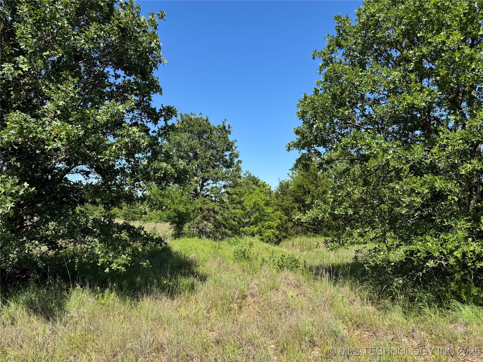 2668 Buck Horn Road Healdton OK 73438