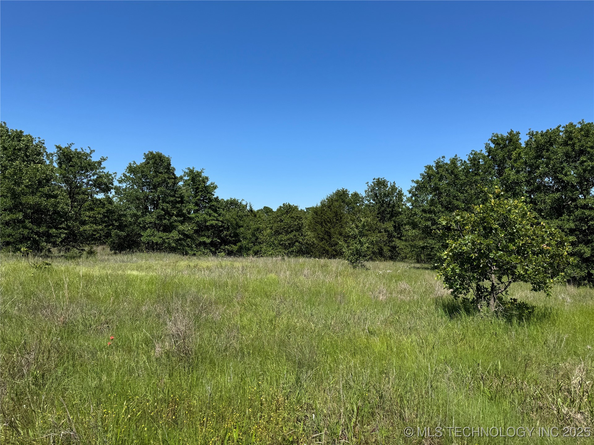 2668 Buck Horn Road Healdton OK 73438