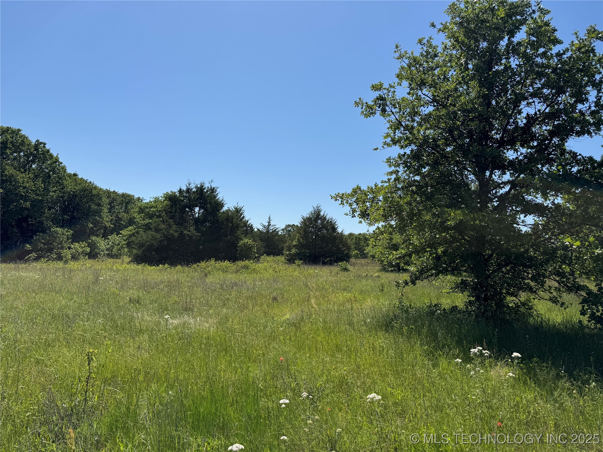 2668 Buck Horn Road Healdton OK 73438