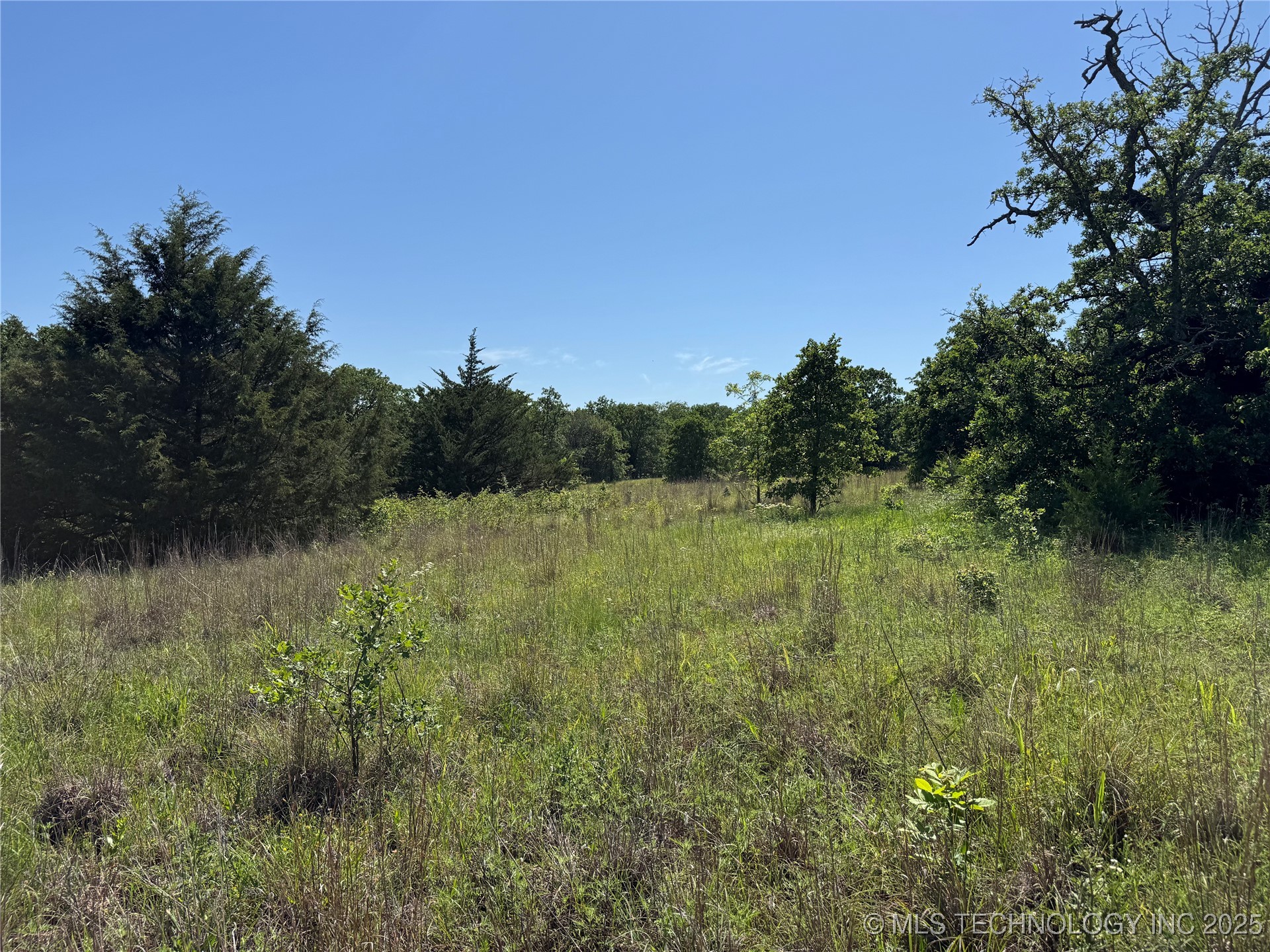 2668 Buck Horn Road Healdton OK 73438