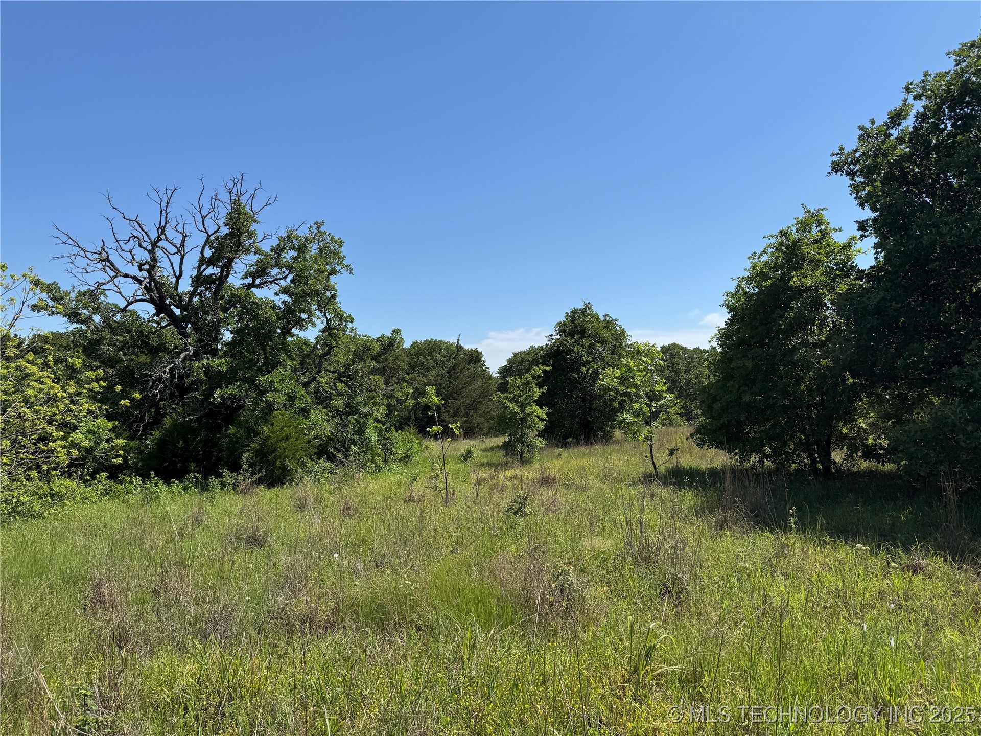 2668 Buck Horn Road Healdton OK 73438