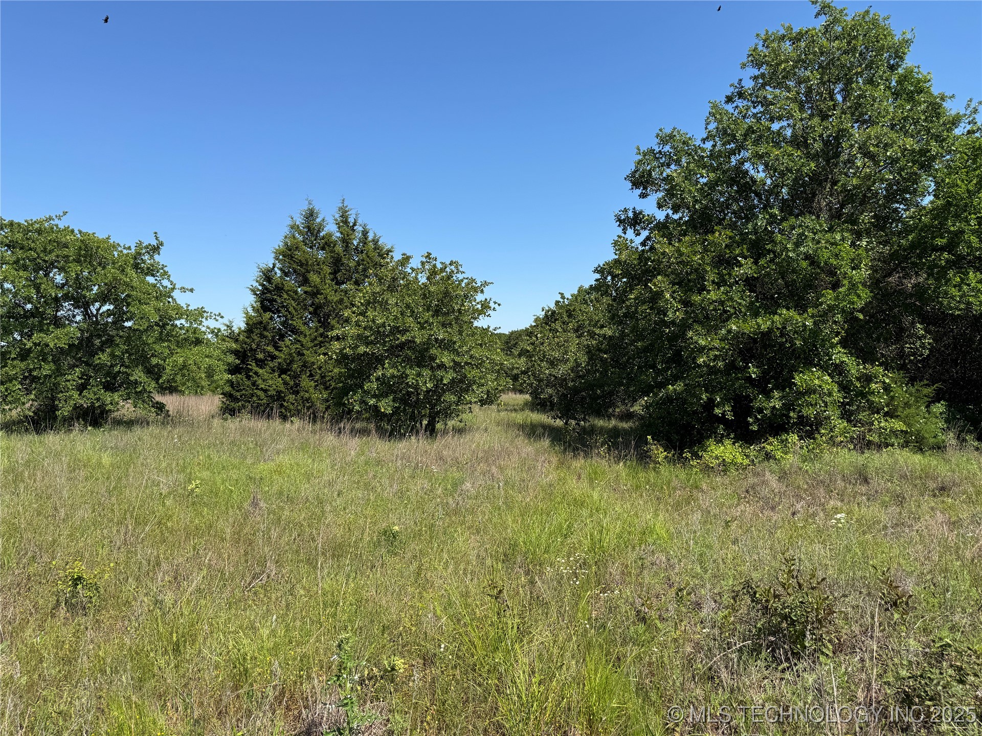 2668 Buck Horn Road Healdton OK 73438