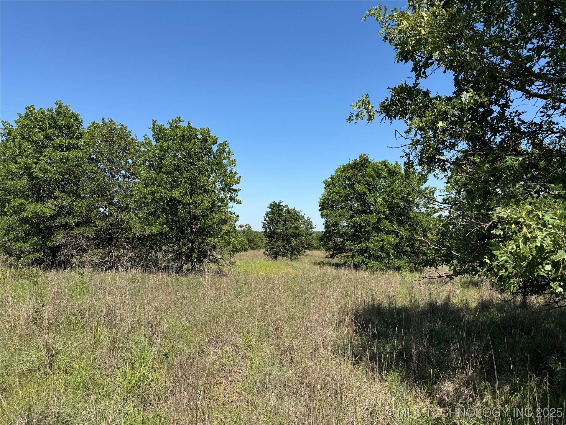 2668 Buck Horn Road Healdton OK 73438