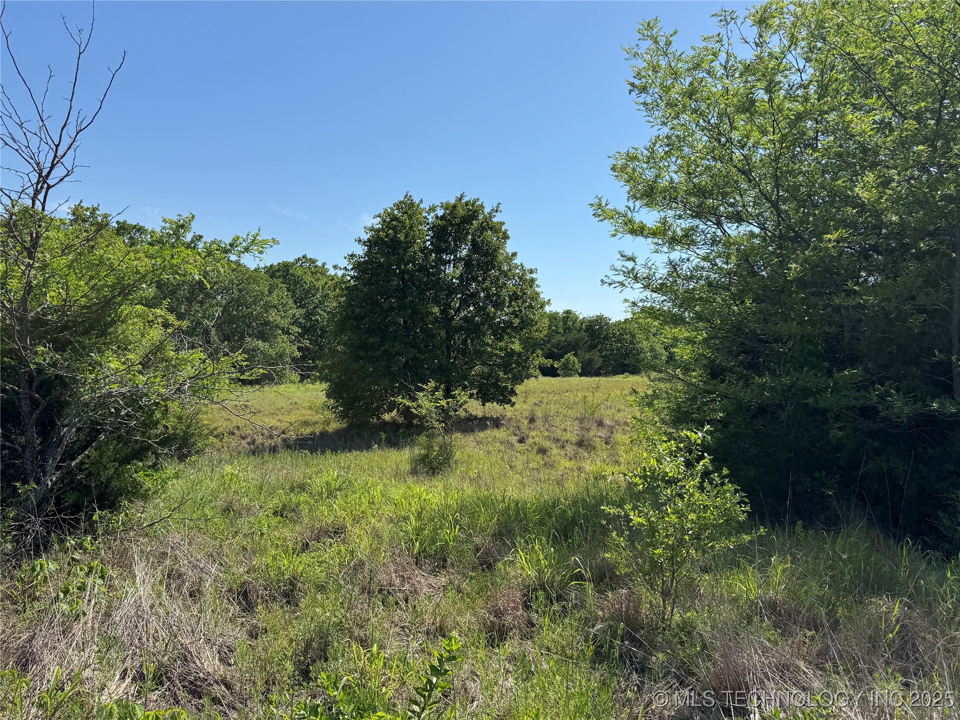 2668 Buck Horn Road Healdton OK 73438