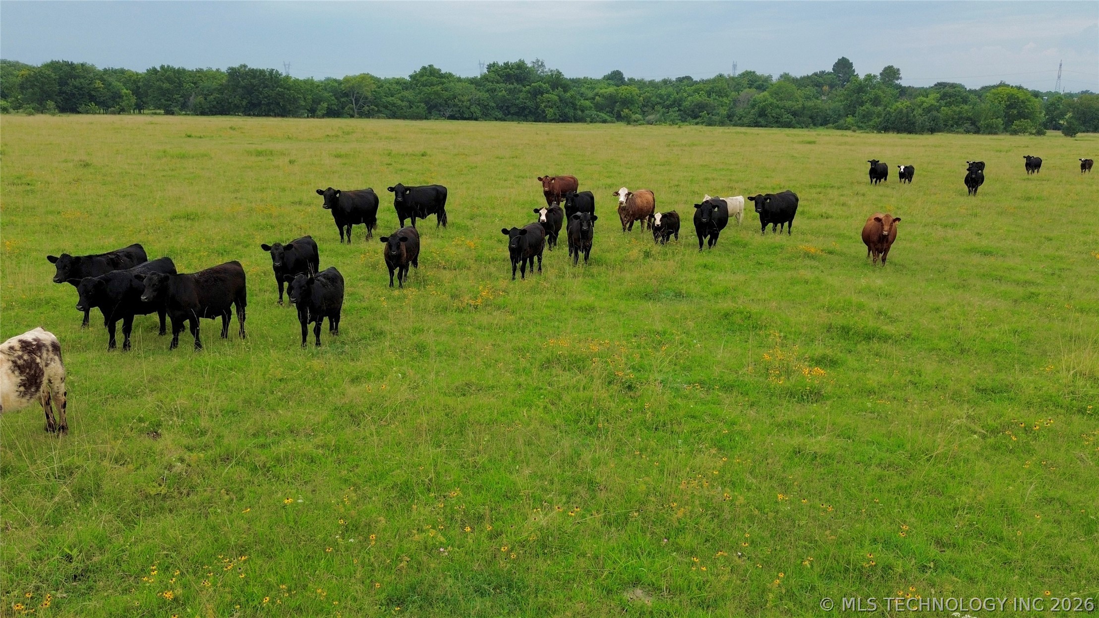124TH Haskell OK 74436