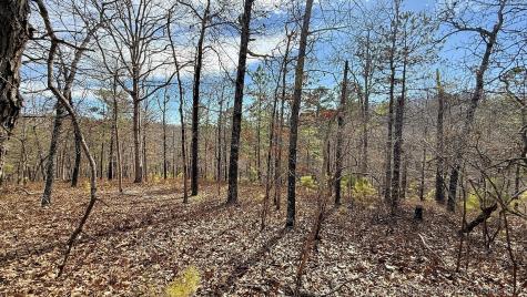 238 Fox Track Trail Kansas OK 74347