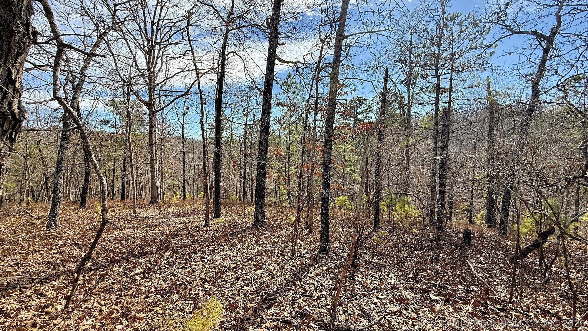 238 Fox Track Trail Kansas OK 74347