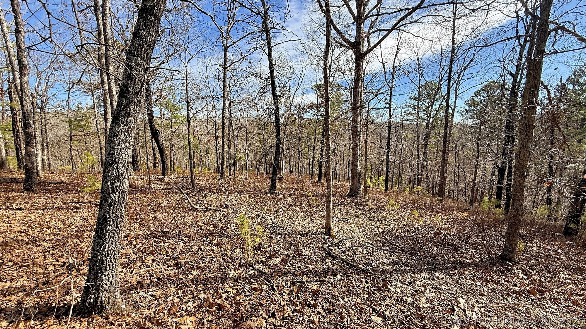 238 Fox Track Trail Kansas OK 74347