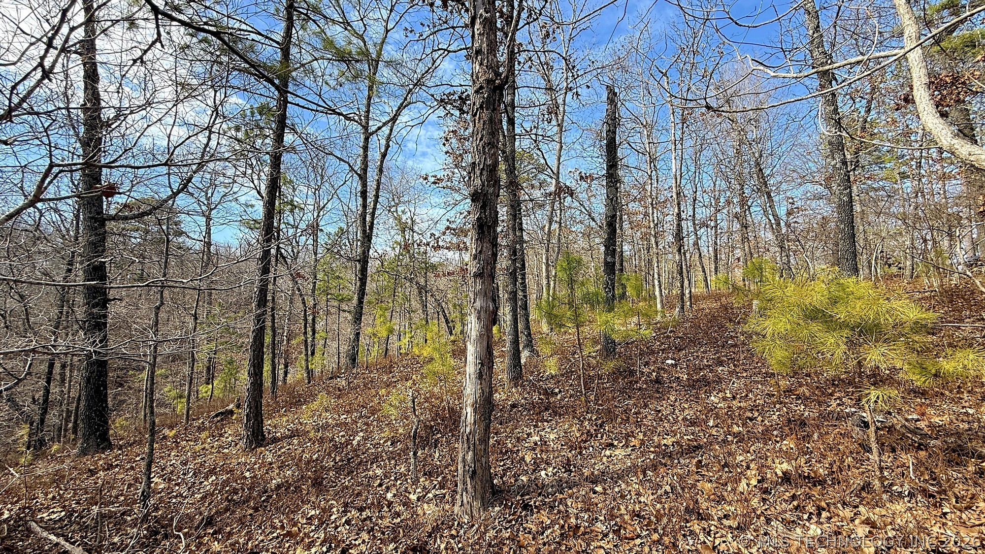 238 Fox Track Trail Kansas OK 74347