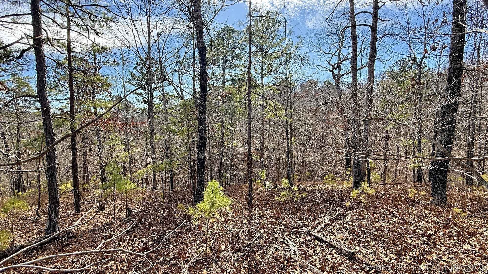 238 Fox Track Trail Kansas OK 74347