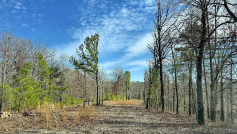 238 Fox Track Trail Kansas OK 74347