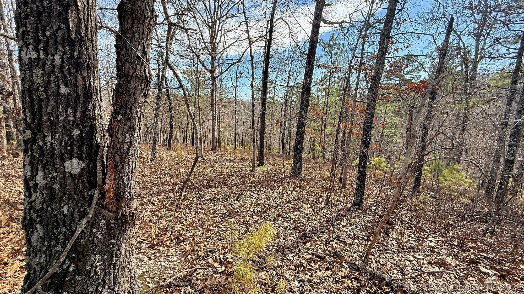 238 Fox Track Trail Kansas OK 74347