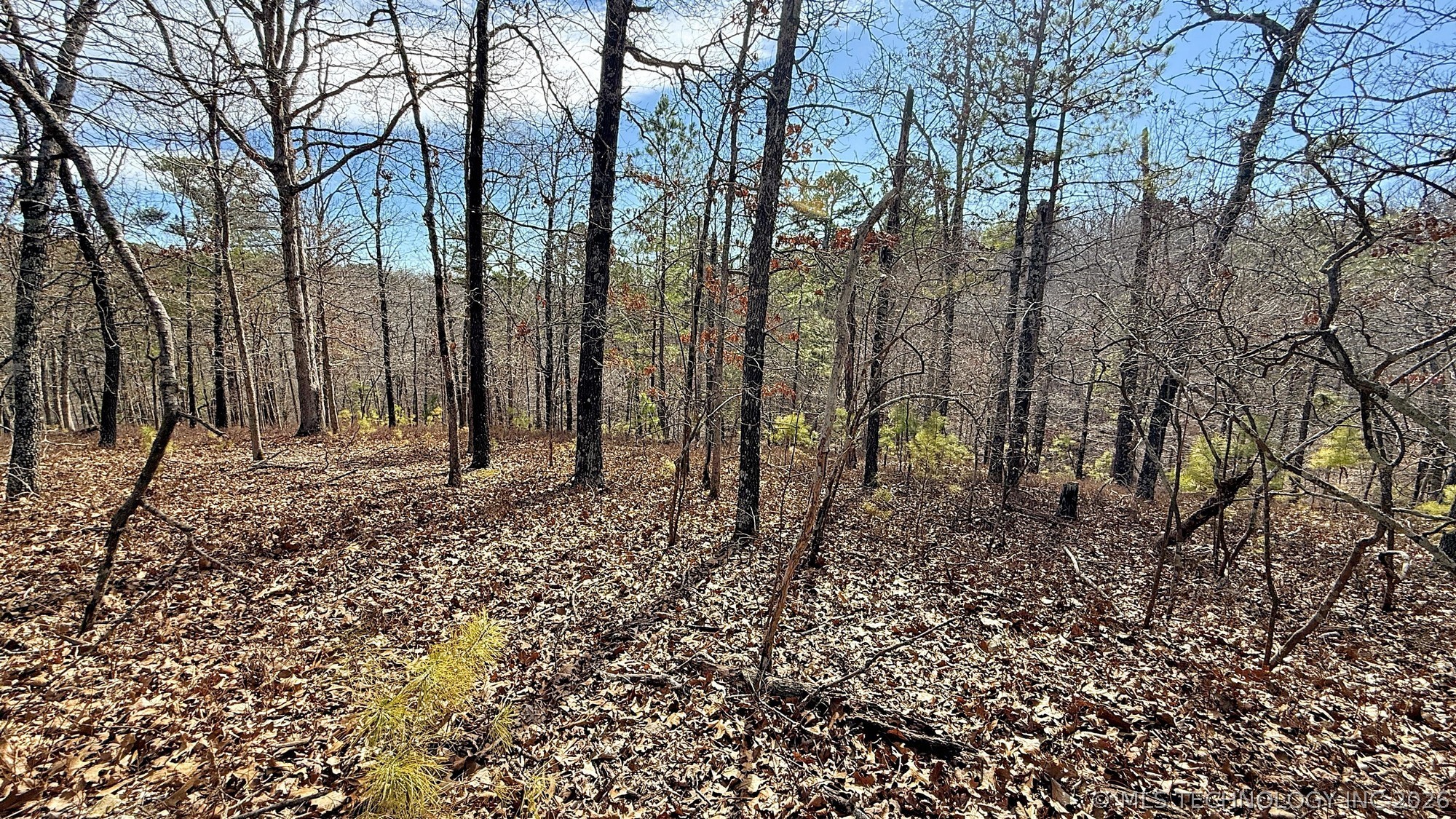 238 Fox Track Trail Kansas OK 74347