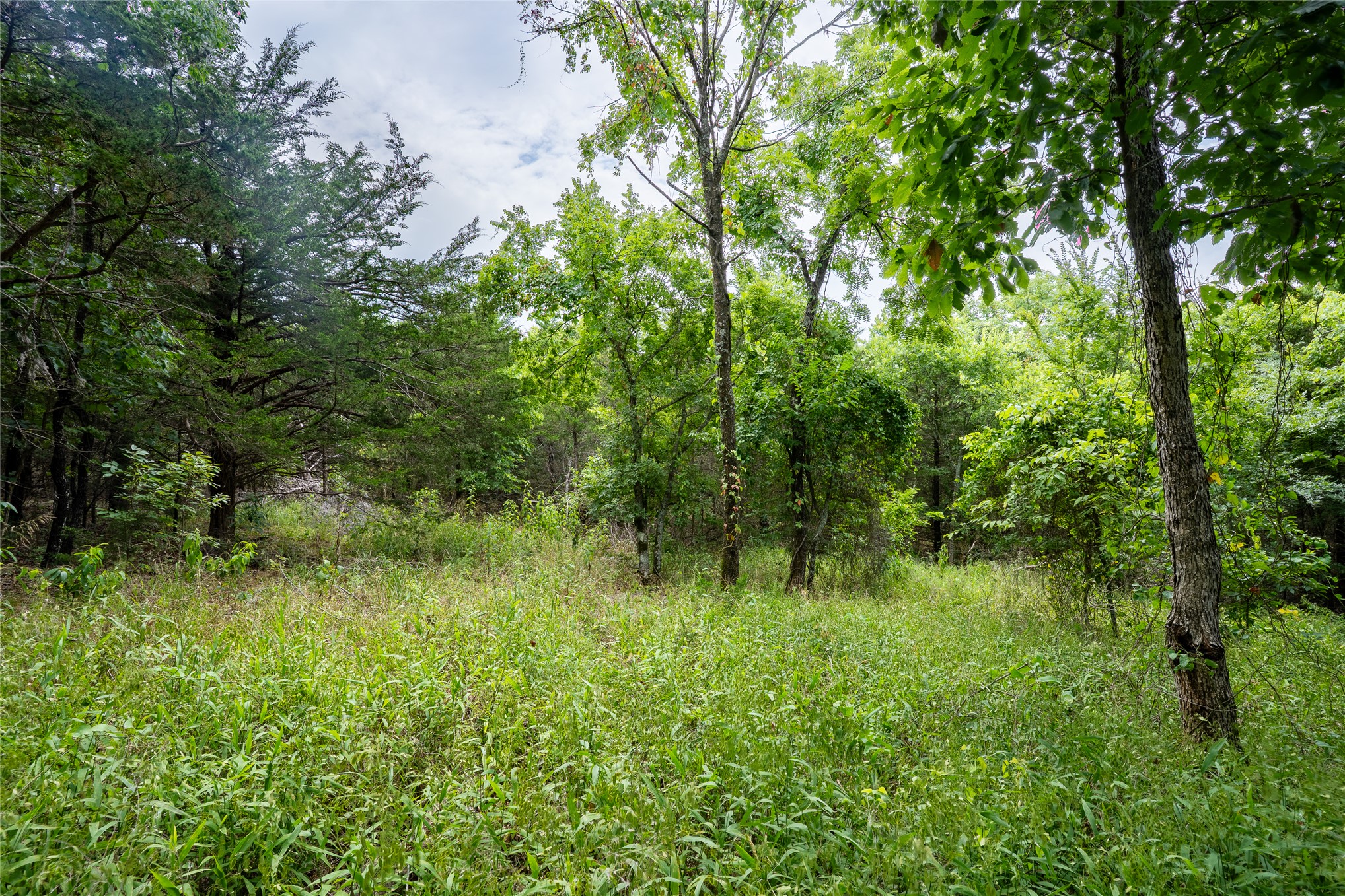 W 880 Road Park Hill OK 74451