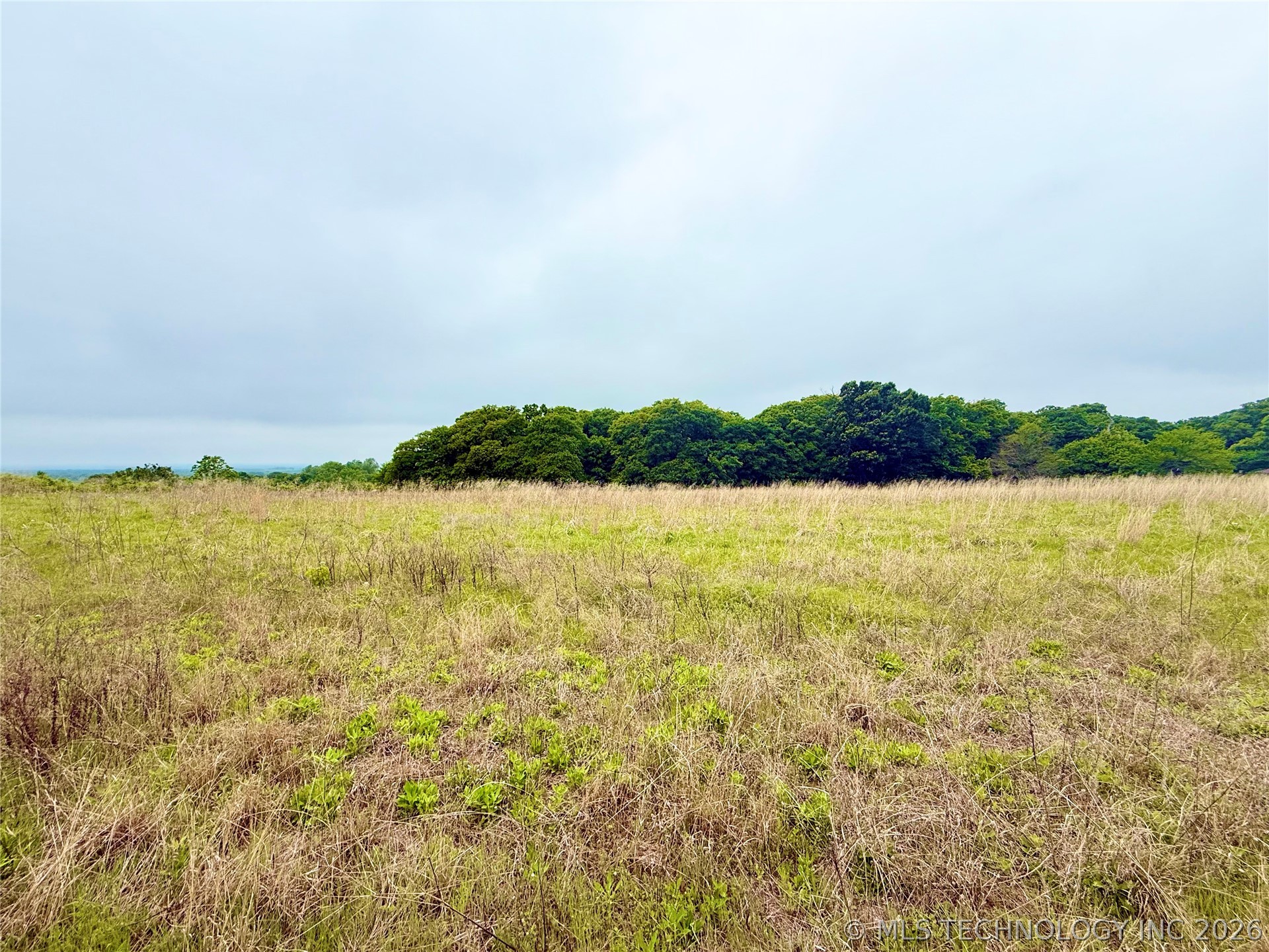 County Road 1600 Stonewall OK 74871
