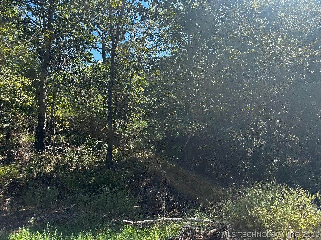 Miller Road Stringtown OK 74569