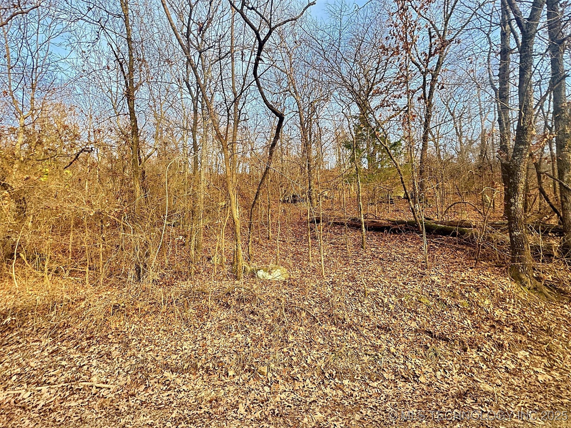 18010 W Big Rock Road Park Hill OK 74451