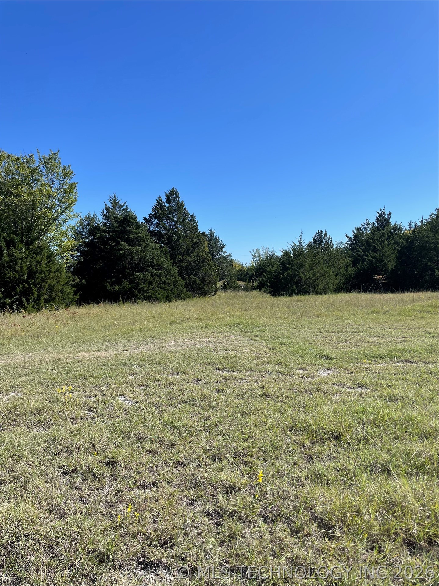 Wayne Burneyville OK 73430