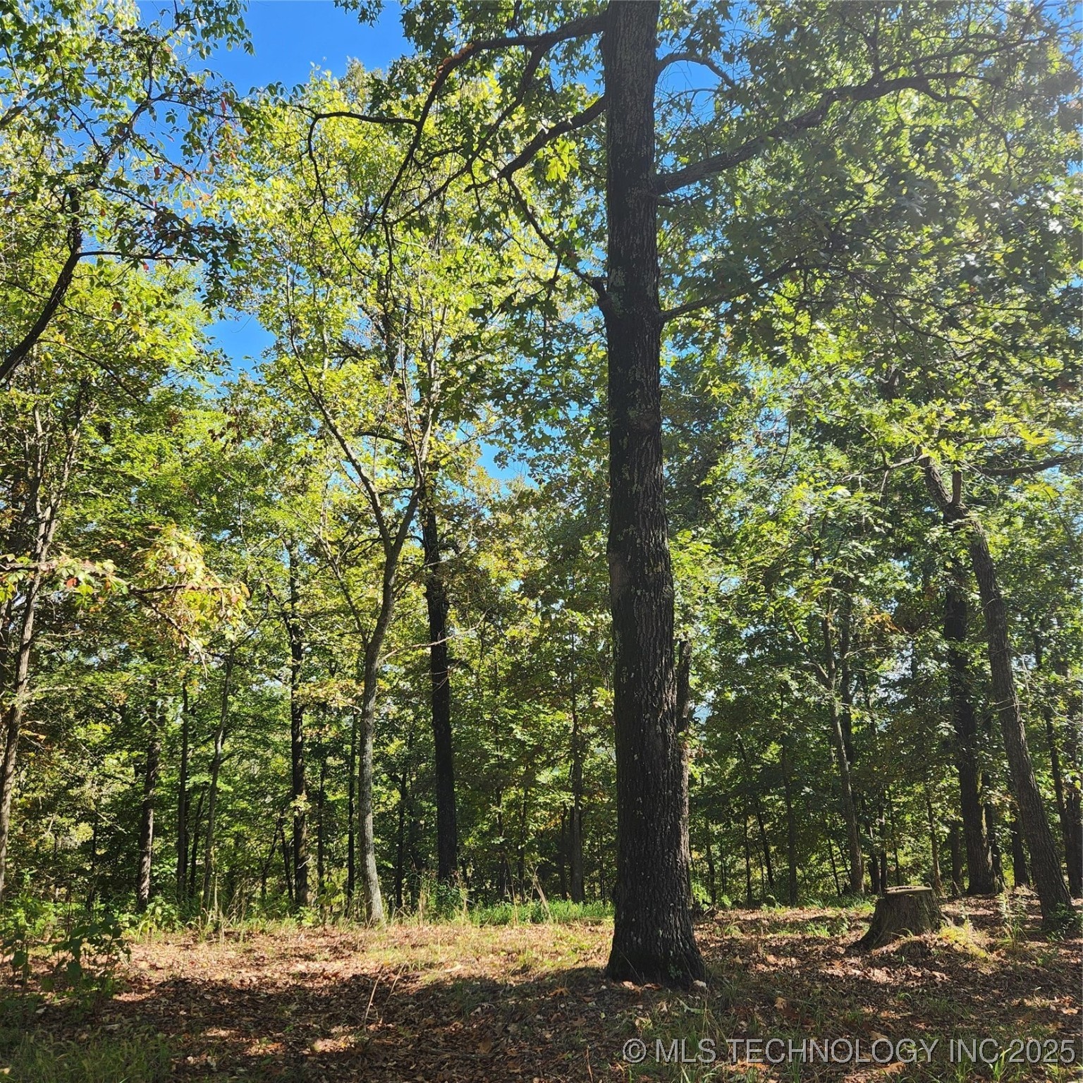 23174 Flint Ridge Drive Kansas OK 74347