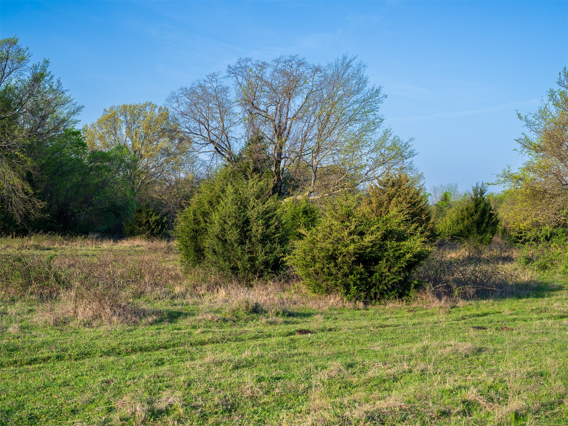 20 E 1120 Road Checotah OK 74426