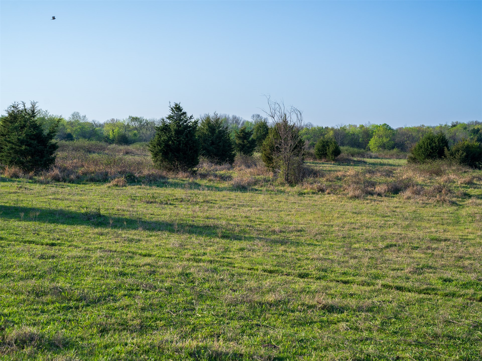 20 E 1120 Road Checotah OK 74426