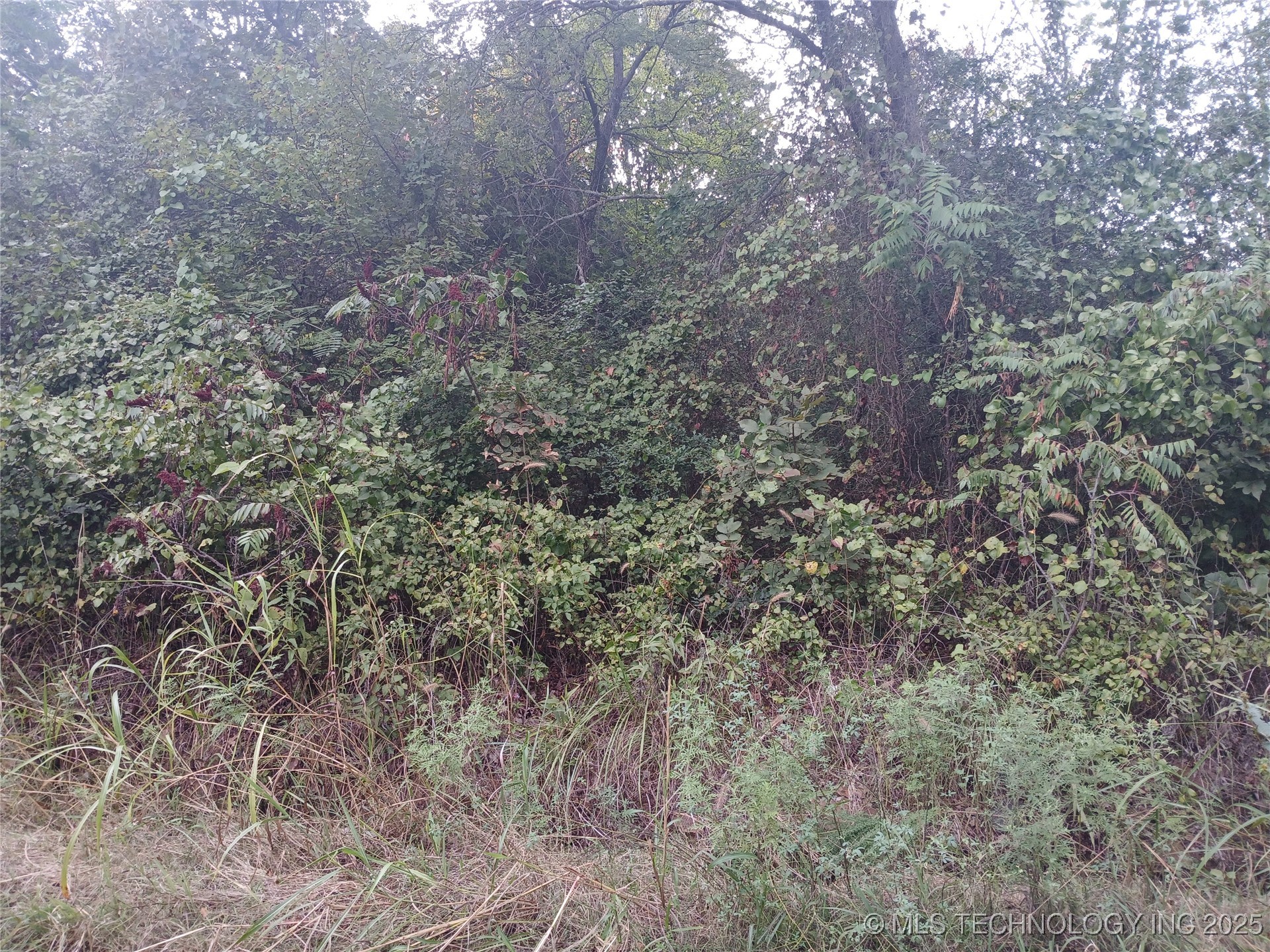 Valley Street Eufaula OK 74432