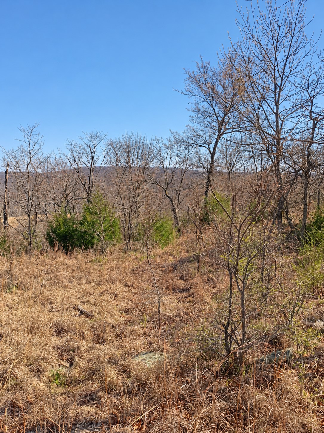 000 966 Road Vian OK 74962