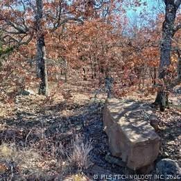 1 Mile Road Stigler OK 74462