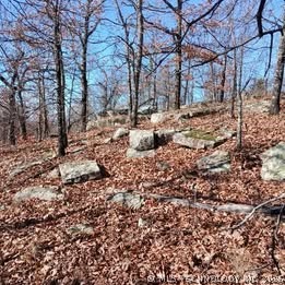 1 Mile Road Stigler OK 74462
