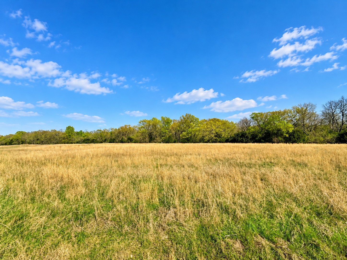 1 Coon Creek Road Eufaula OK 74432