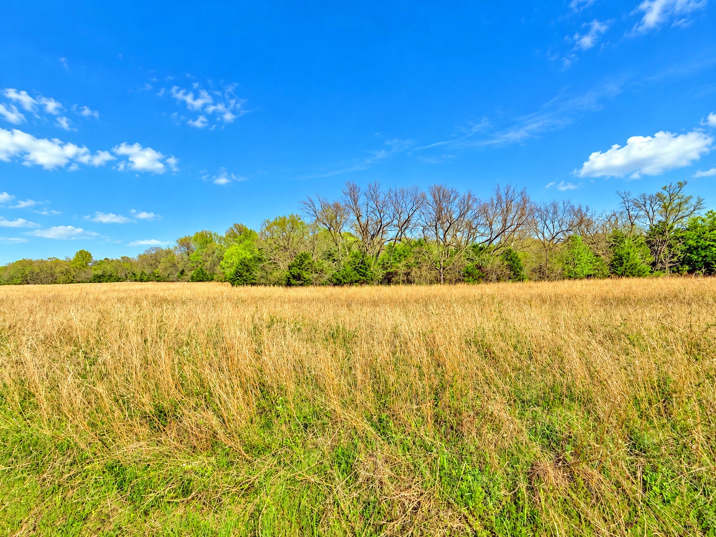 1 Coon Creek Road Eufaula OK 74432
