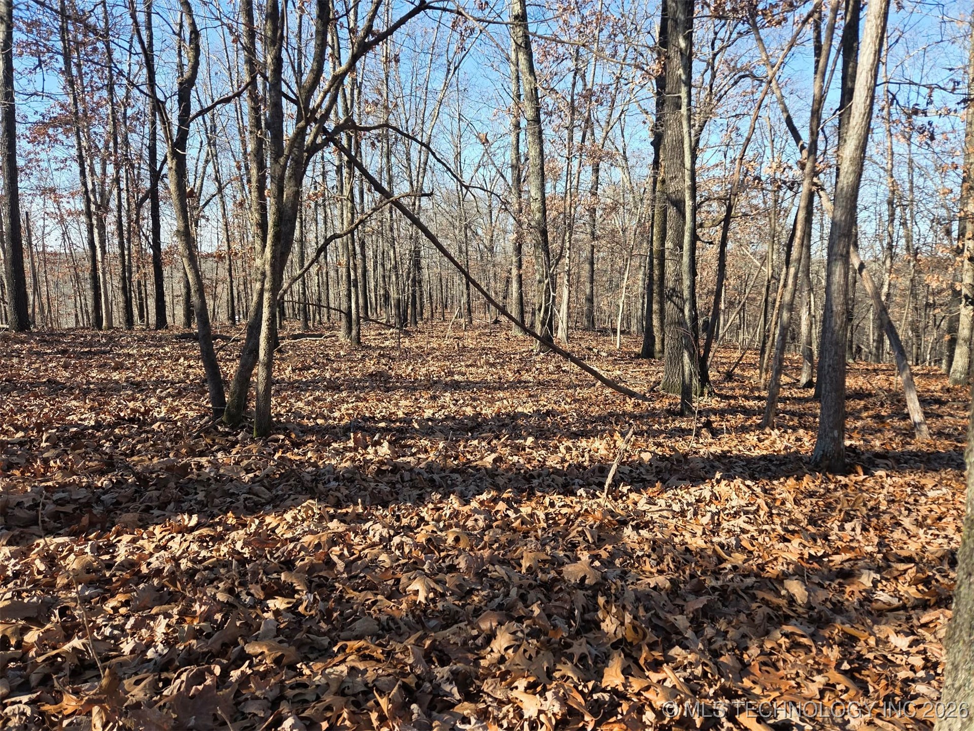 Pigeon Ridge Proctor OK 74457