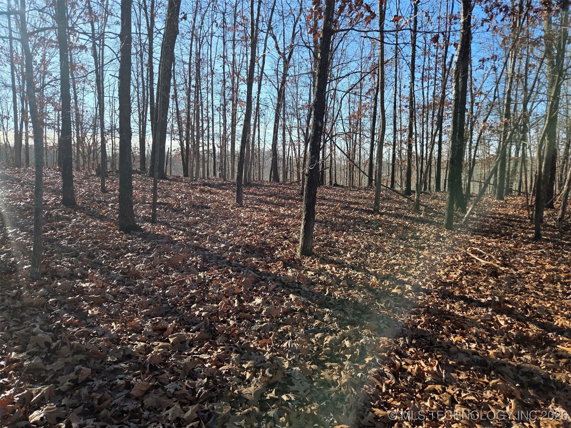 Pigeon Ridge Proctor OK 74457