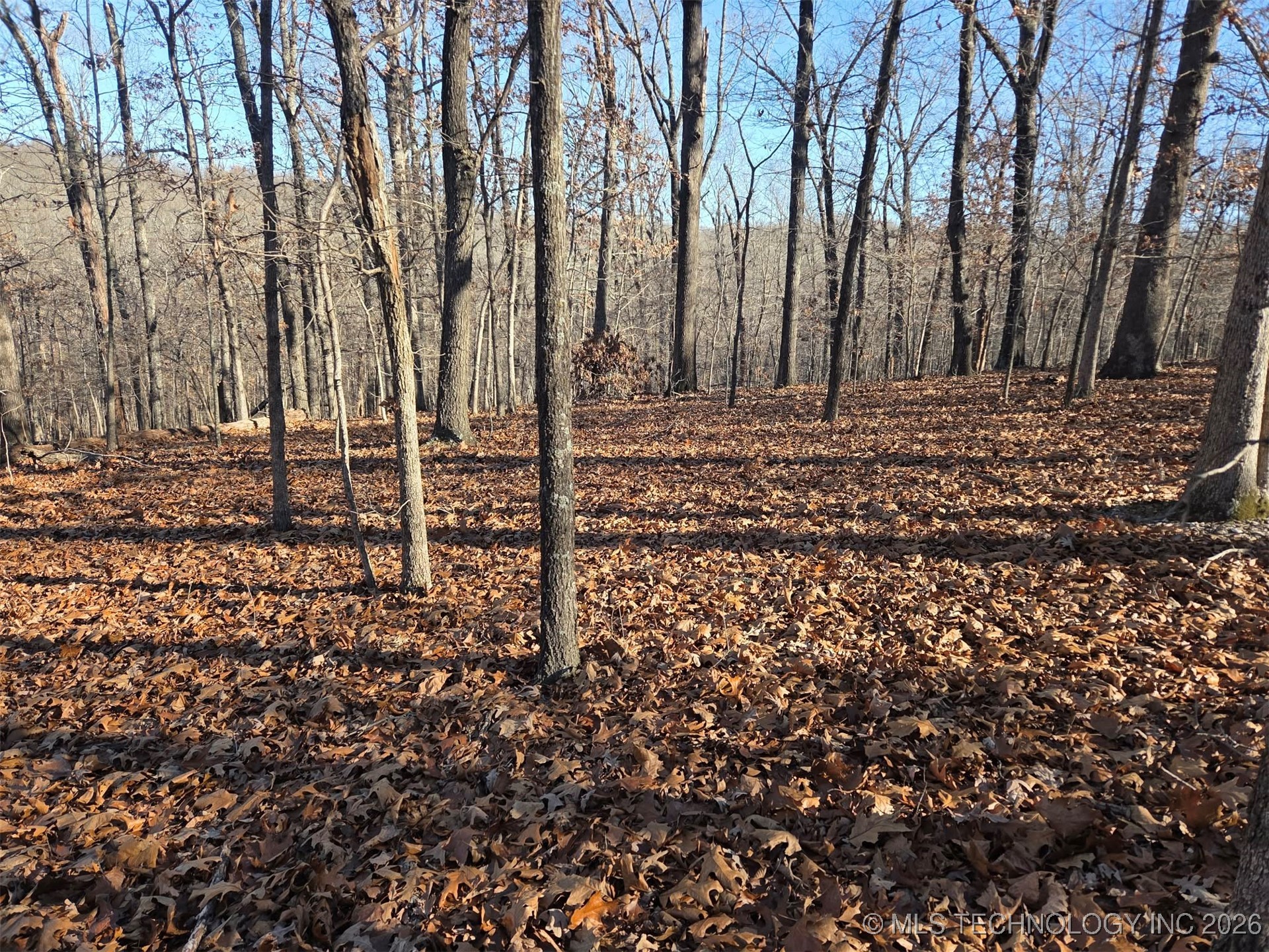 Pigeon Ridge Proctor OK 74457